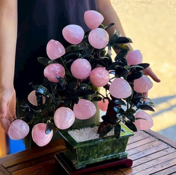 Công Dụng Cây Đào Tài Lộc